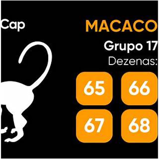 macaco jogo do bicho